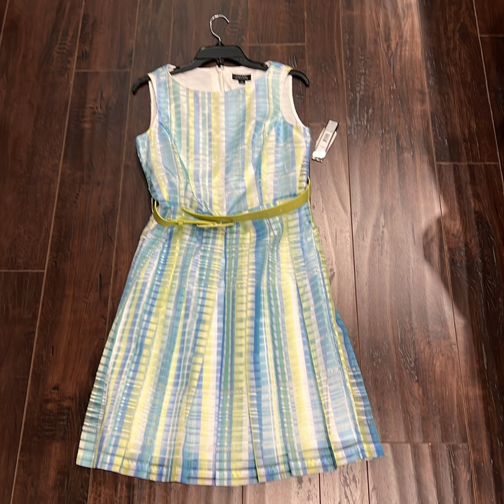 Striped Blue and Green Dress with Belt